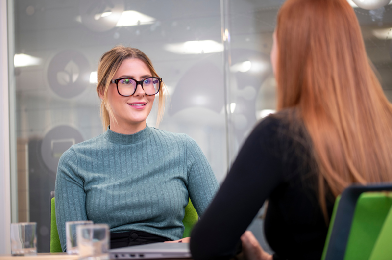 Two colleagues in meeting